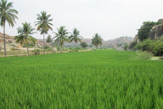 Tour image 2