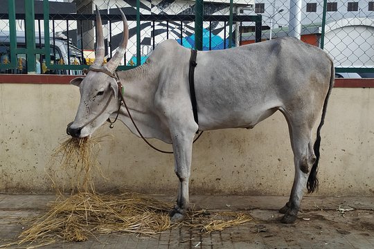 Tour image 10