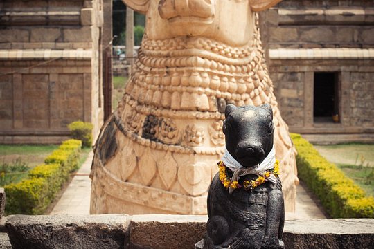 Tour image 11