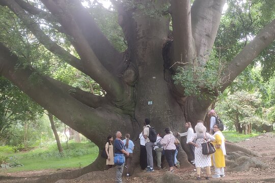 Tour image 10